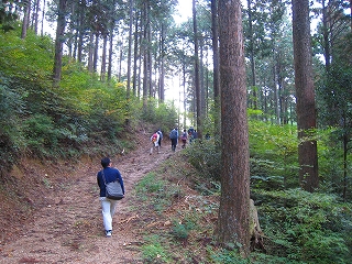 e0002820_619308.jpg