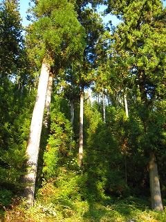e0002820_62437100.jpg