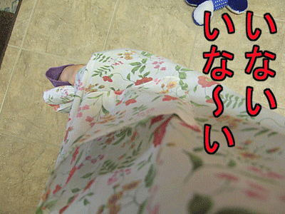 c0151122_810178.gif