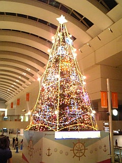 f0106823_22271541.jpg