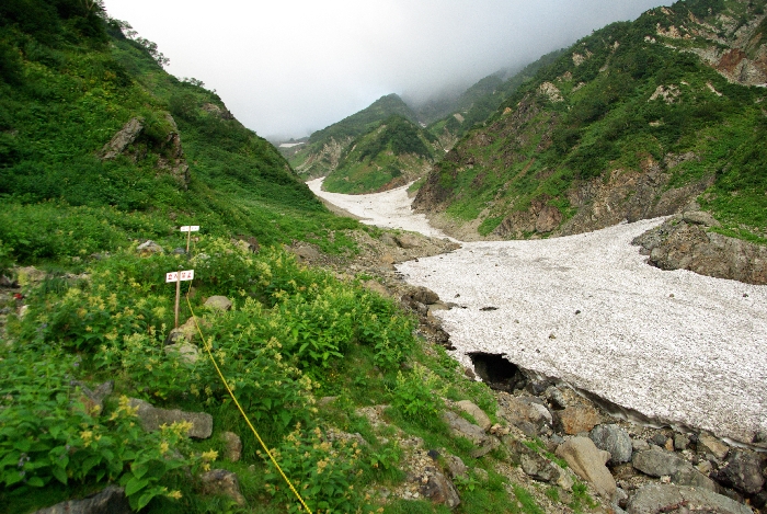 b0062024_1917790.jpg
