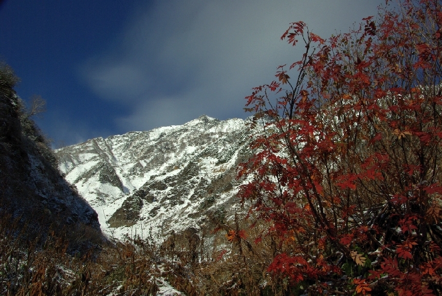 b0062024_1934316.jpg