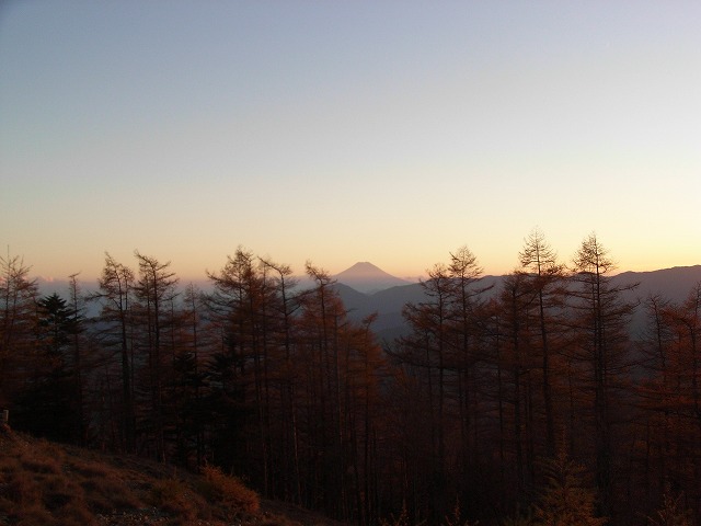 d0111124_2030196.jpg