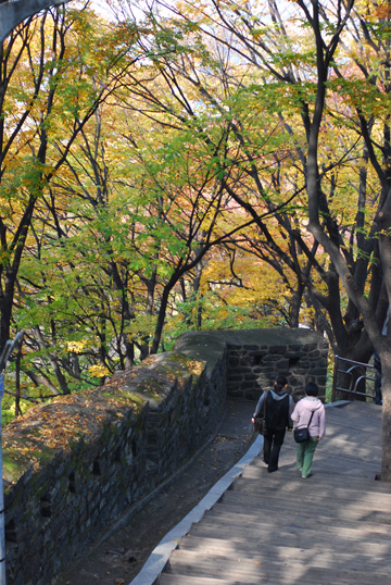 f0148725_852365.jpg