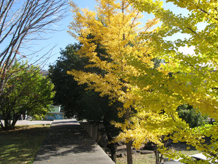 d0004426_1312432.jpg
