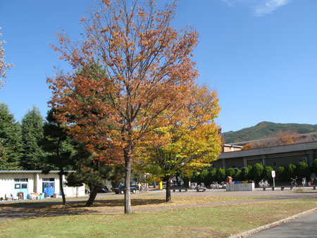 d0004426_1322381.jpg