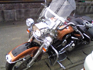 a0099129_1782686.jpg