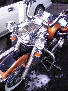 a0099129_1783868.jpg