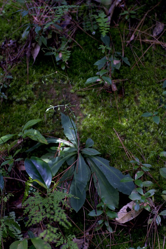 d0053930_6393798.jpg