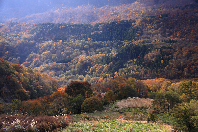 e0025930_22272046.jpg