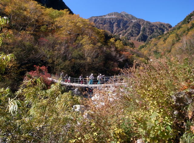 d0091834_17242585.jpg