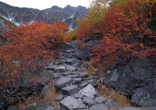 d0091834_17251865.jpg