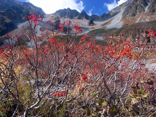 d0091834_17263989.jpg