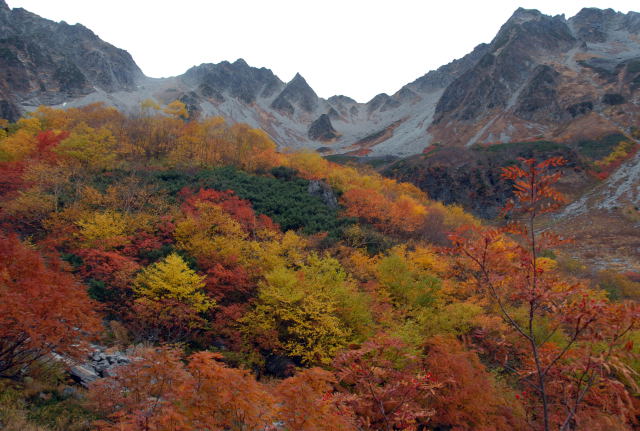 d0091834_17265760.jpg