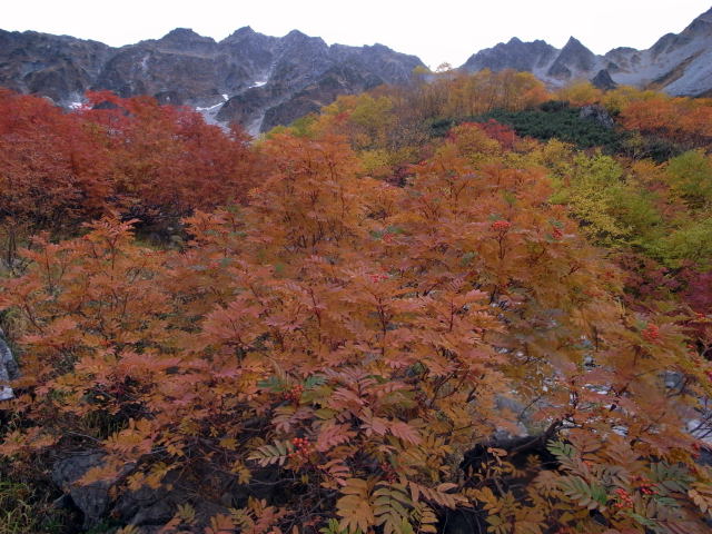d0091834_1726681.jpg