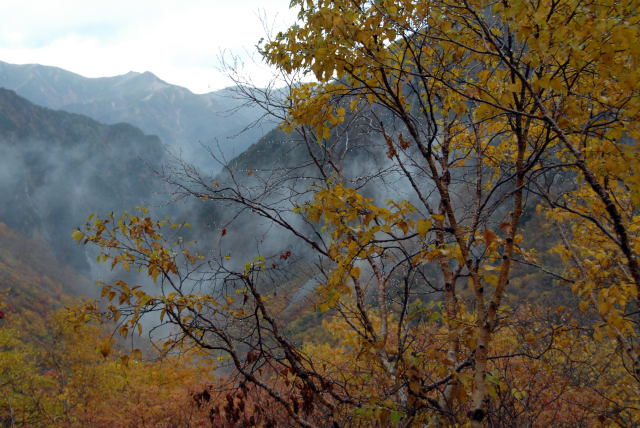 d0091834_17273555.jpg