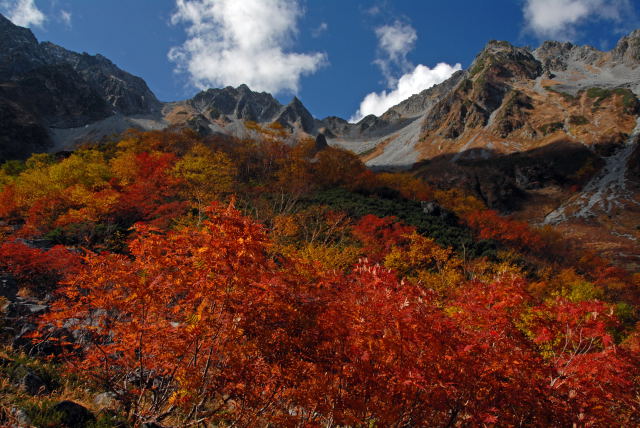 d0091834_17285320.jpg