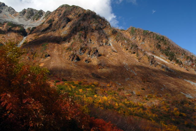 d0091834_17291028.jpg