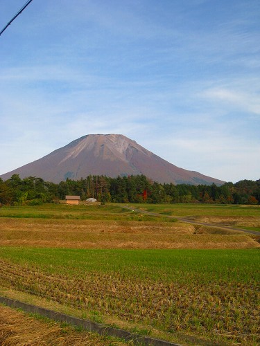 a0055835_177398.jpg