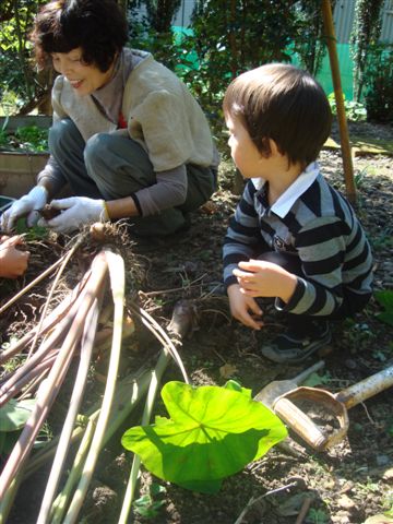 f0029536_902273.jpg