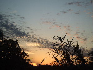 a0054240_17454217.jpg