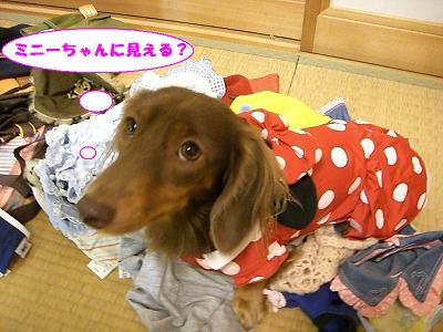 f0186040_0314040.jpg