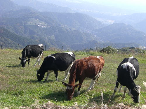 f0094843_0442011.jpg