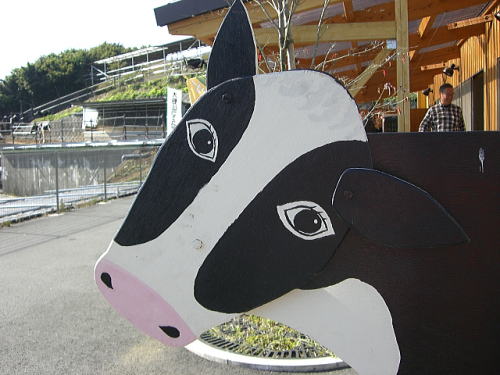 f0094843_0531640.jpg