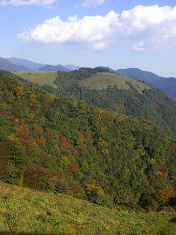 f0094843_0572667.jpg