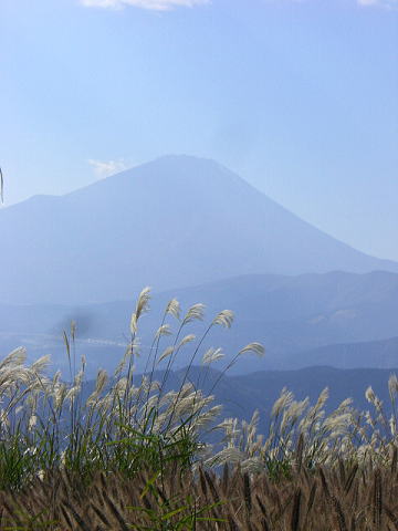f0094843_0575647.jpg