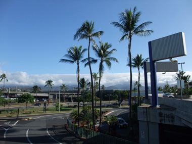 d0129145_0194841.jpg