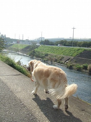c0097558_12153027.jpg