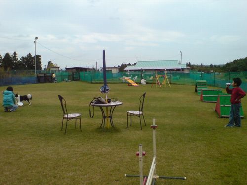 a0077764_20392286.jpg
