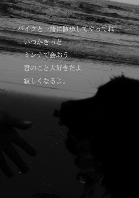 d0128364_1241983.jpg