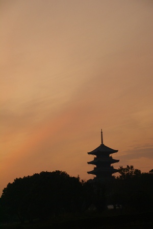 a0091666_826584.jpg