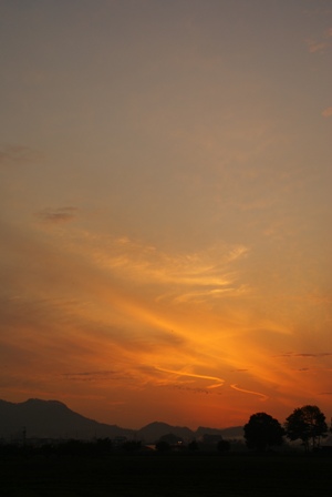 a0091666_8271179.jpg