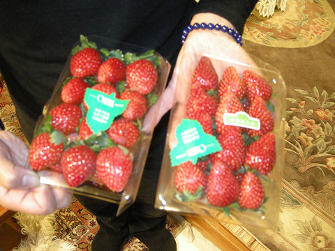 f0186368_225614.jpg