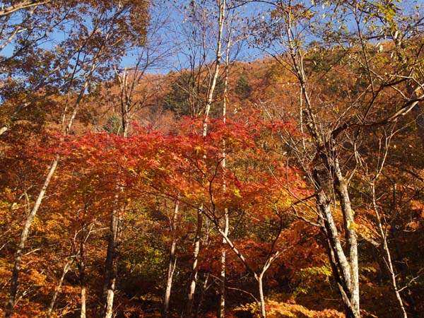 c0122670_0184861.jpg