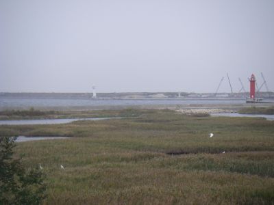 e0143671_10435741.jpg