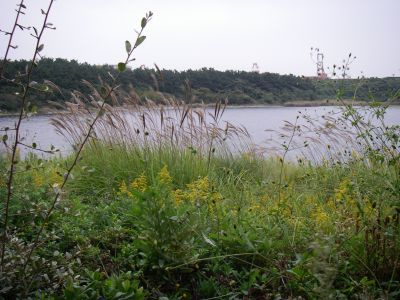 e0143671_10452233.jpg