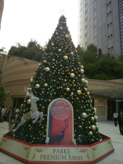 e0081772_13454697.jpg