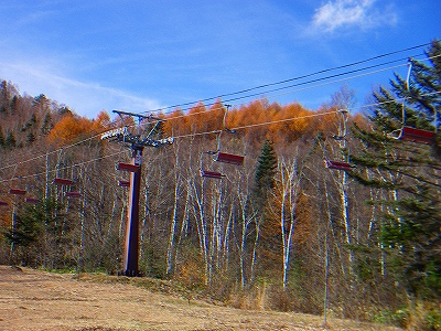 f0182173_1749170.jpg