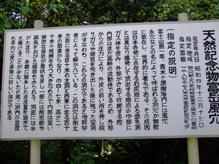 c0078480_21403620.jpg