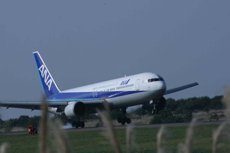 c0148781_2331038.jpg