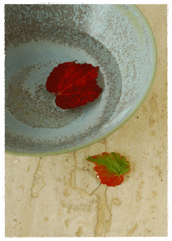 f0032481_2240315.gif
