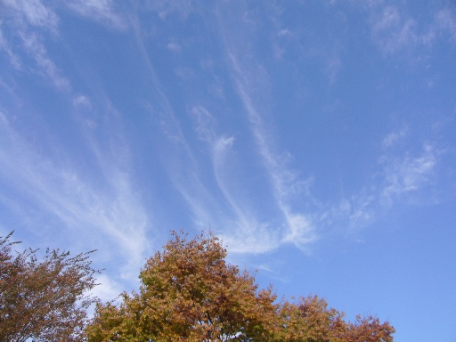 f0178381_1455879.jpg