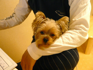 f0018384_133327.jpg