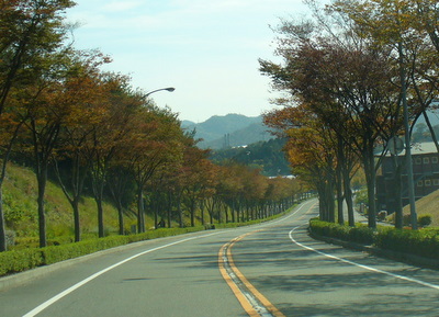 e0026586_13181148.jpg