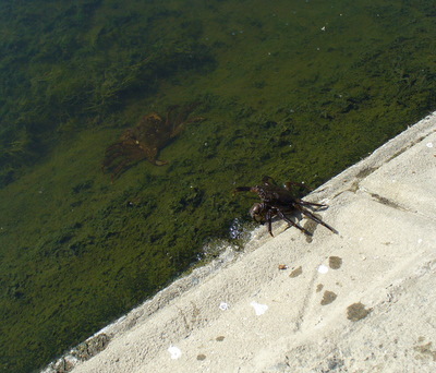 e0026586_139829.jpg