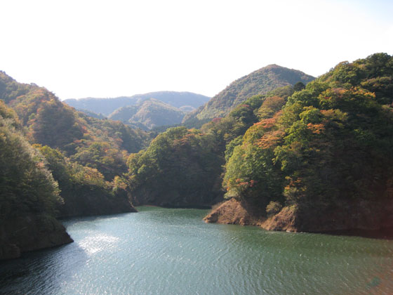 f0110488_1424538.jpg